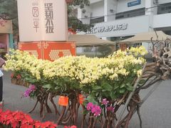 -天河体育中心