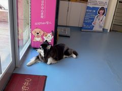 -全心全意动物诊疗中心医院(北苑店)