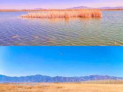 -野鸭湖国家湿地公园