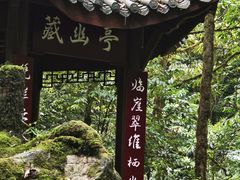 -西岭雪山大飞水景区