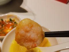 -领鲜天下·焗海鲜·花胶鸡(天目里店)