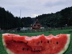 -武陵山森林公园