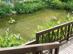 -活水公园