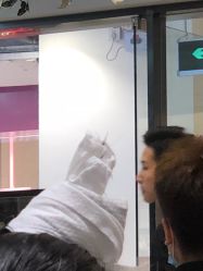 -京世沙龙