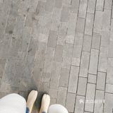 春日午后，坐在窗边看日光一寸一寸地挪~
