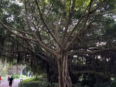 -南宁南湖公园