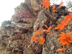-大连天门山国家森林公园