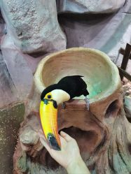 -Zoolung Zoolung动物主题公园(海信广场店)