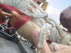 -西门岛码头海鲜馆
