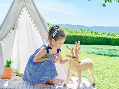 -三亚亚龙湾天域度假酒店