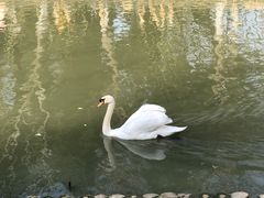 -常州淹城野生动物世界