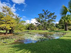 -中国科学院西双版纳热带植物园