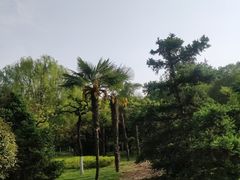 -城市运动公园(未央区)