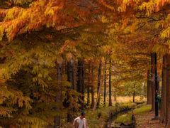 -南京市无想山景区