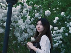 -月湖风景区