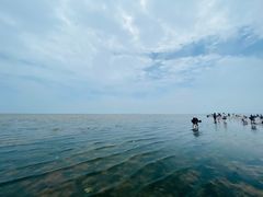 -刘家湾赶海园