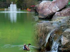 -广州白江湖森林公园