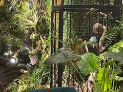 -杭州温德姆至尊豪廷大酒店