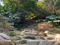 -梧桐山风景名胜区