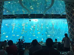 -瑞德姆美人鱼海底演艺主题餐厅(亚龙湾店)