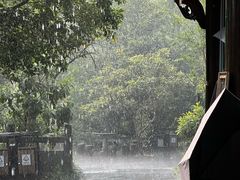 -富春桃源风景区