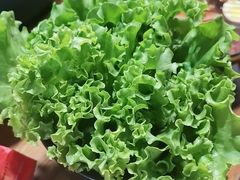 -四斤烤肉(东戴河孟家店)