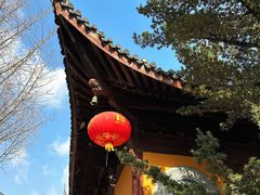 -龙华寺