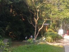 -黄埔油麻山森林公园