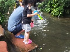 -黄龙溪古镇