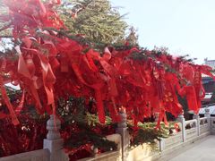 -龙口南山旅游景区