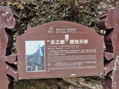 -蝶舞清江·恩施地心谷景区