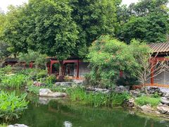 -顺峰山公园