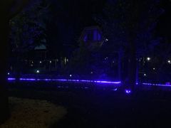 -林栖谷森林康养度假区