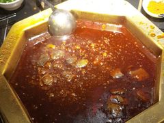 -蜀九香火锅(彩虹店)