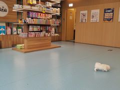 -萌兽医馆·犬猫专科·眼科中心·宠物医院(朝阳门分院)