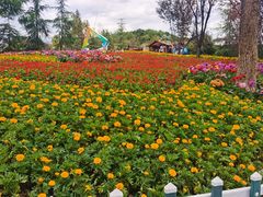 -铁山坪森林公园