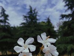 -西安浐灞国家湿地公园