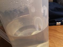 -吕氏疙瘩汤·新鲁菜(新贵和店)