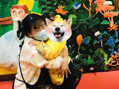 -杨梅红艺术教育(西安高新唐延教学中心)