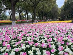 -上海鲜花港
