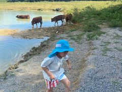 -Club Med地中海俱乐部·桂林度假村