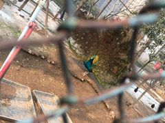 -陕西自然博物馆