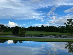 -西双版纳原始森林公园