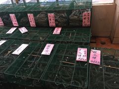 -荔城生鲜盛宴(番禺旗舰店)