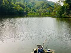 -东天目山风景区