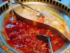 -辣伍鲜毛肚老火锅(元一店)