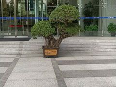 -华夏银行大厦(上海分行营业部)