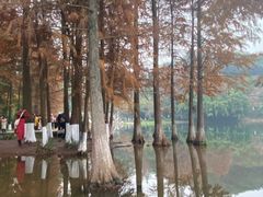 -重庆彩云湖湿地公园