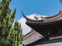 -江心屿景区
