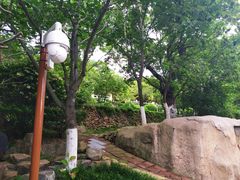-石老人观光园